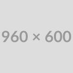 The Evolution of Car Design: A Visual Journey